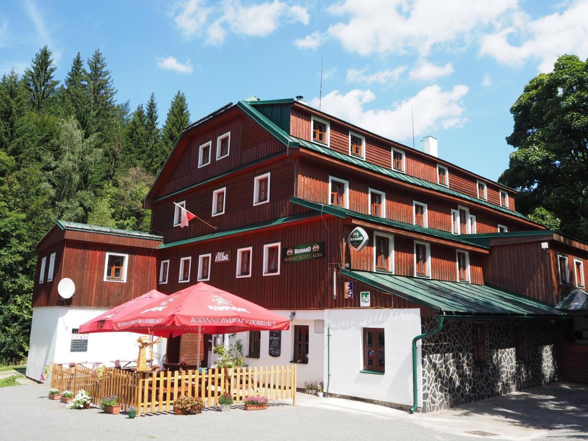 Hotel Alba Destne v Orlickych horach Exterior foto