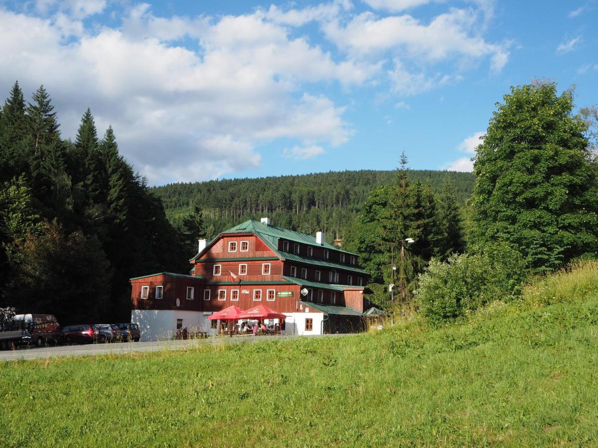 Hotel Alba Destne v Orlickych horach Exterior foto